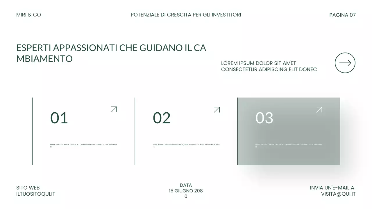 Presentazione dell'investimento moderno e verde