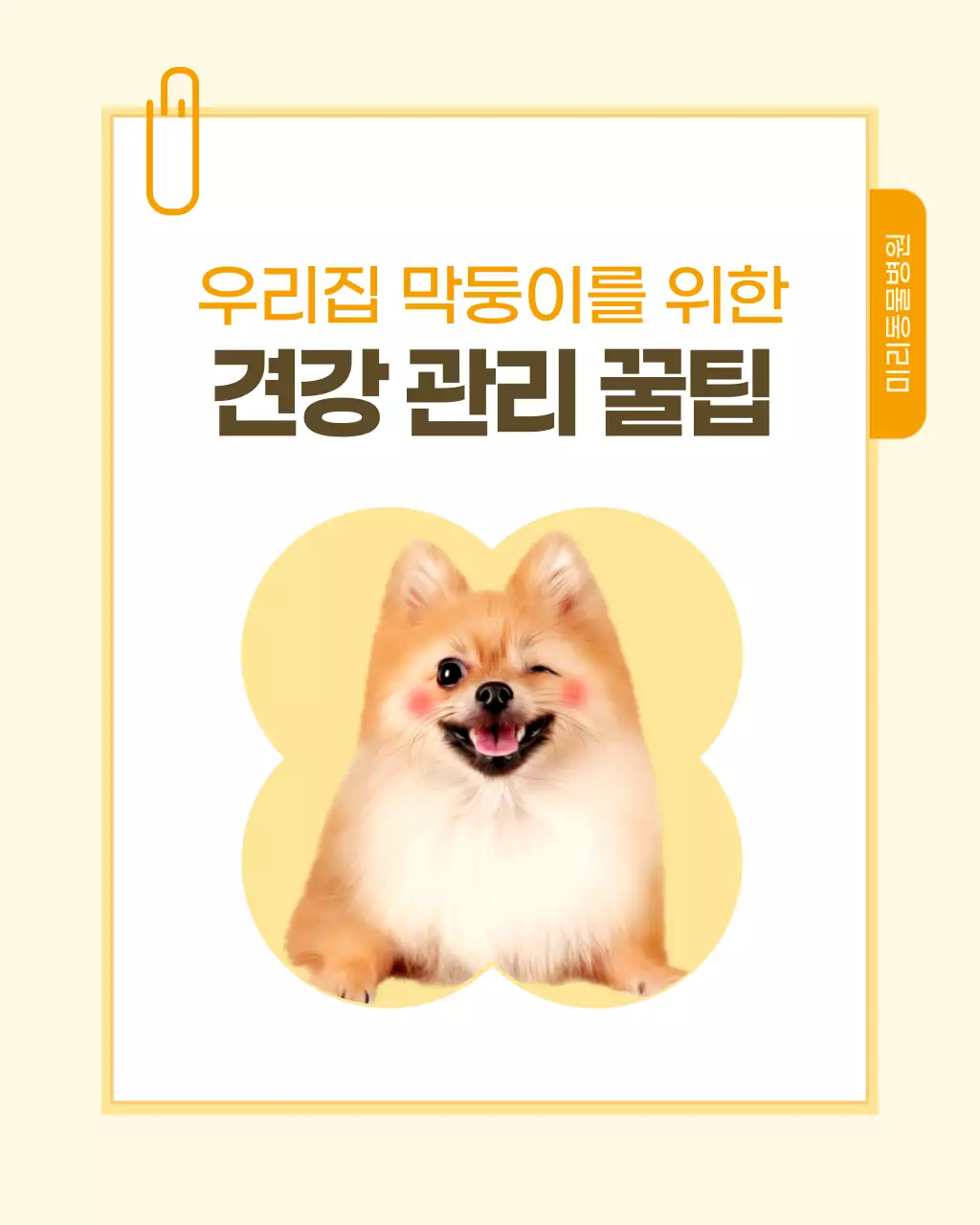 노랑과 흰색의 노트 스타일 반려동물 건강관리 정보