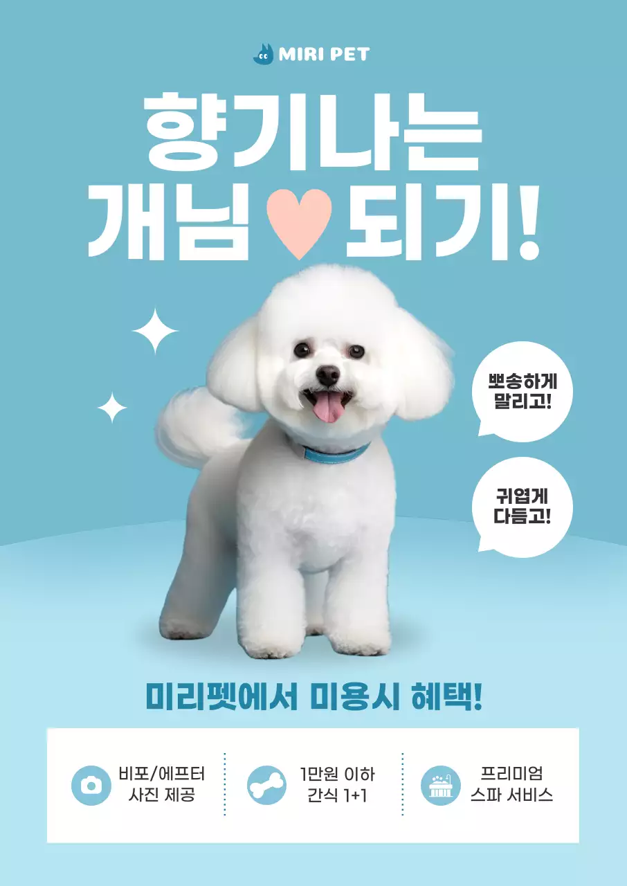 하늘색 깔끔 애완동물 서비스 홍보