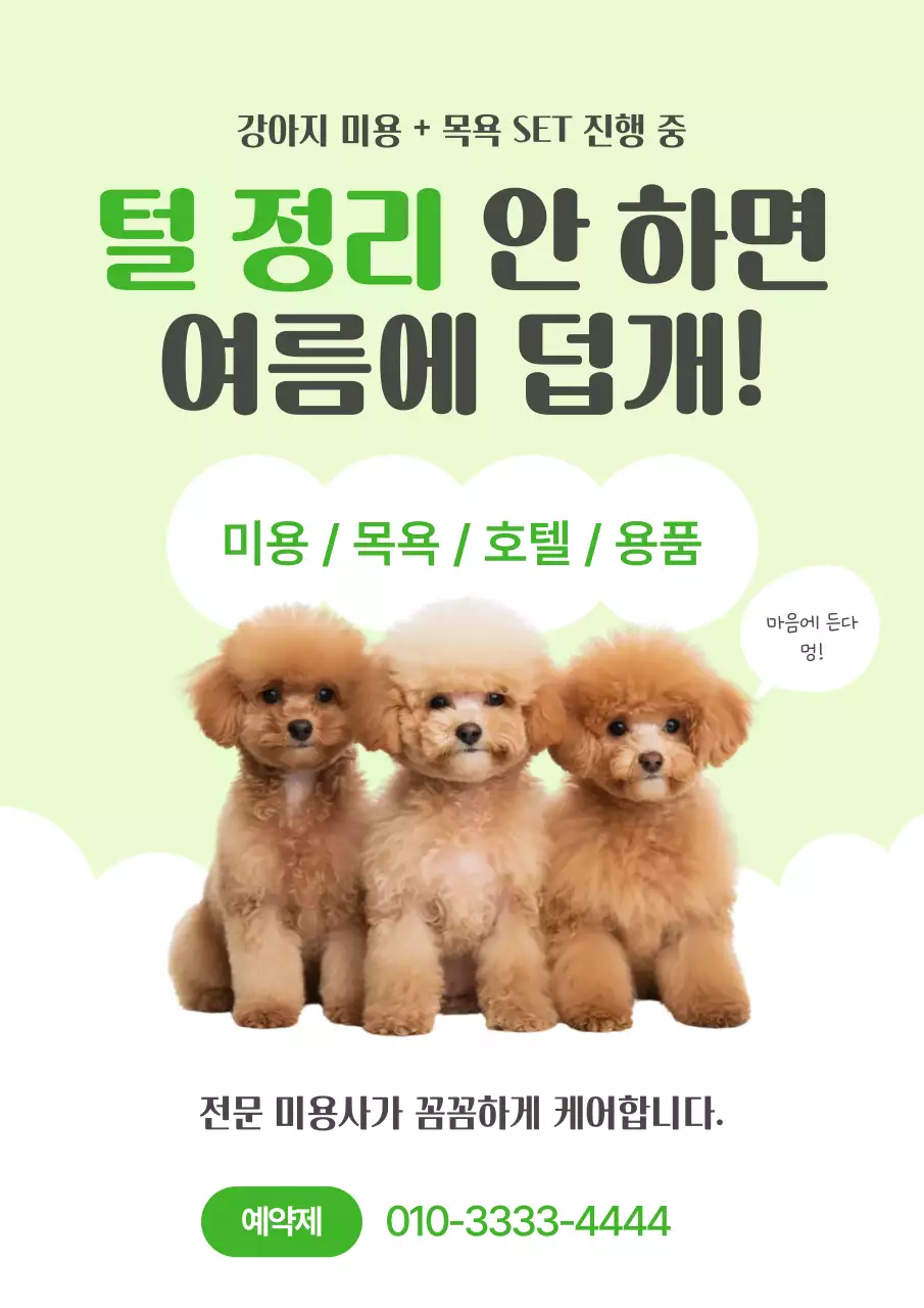 연두 깔끔 애완동물 관리 홍보