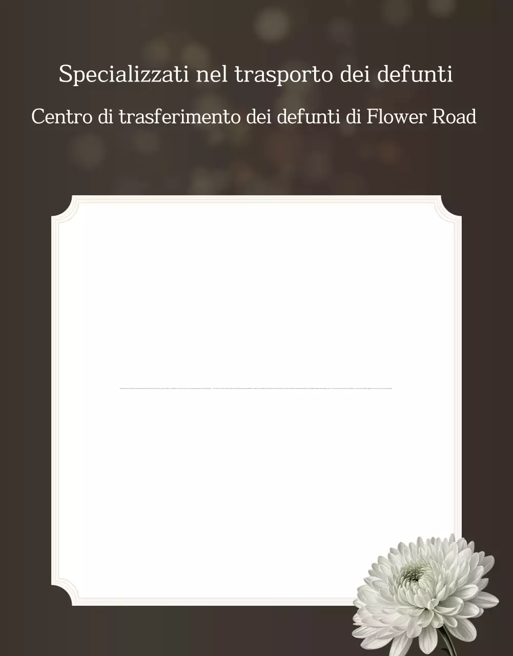 Guida funeraria di lusso Beige