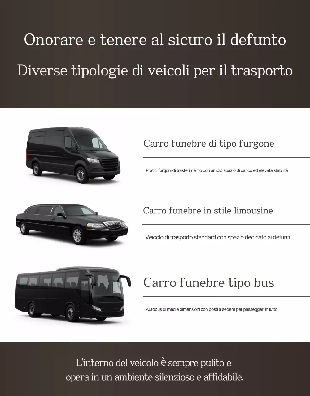 Guida funeraria di lusso Beige
