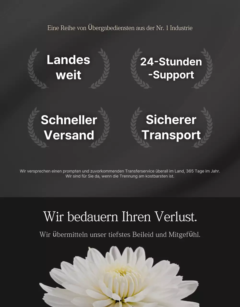 Schwarze einfache Autotransporter-Werbung