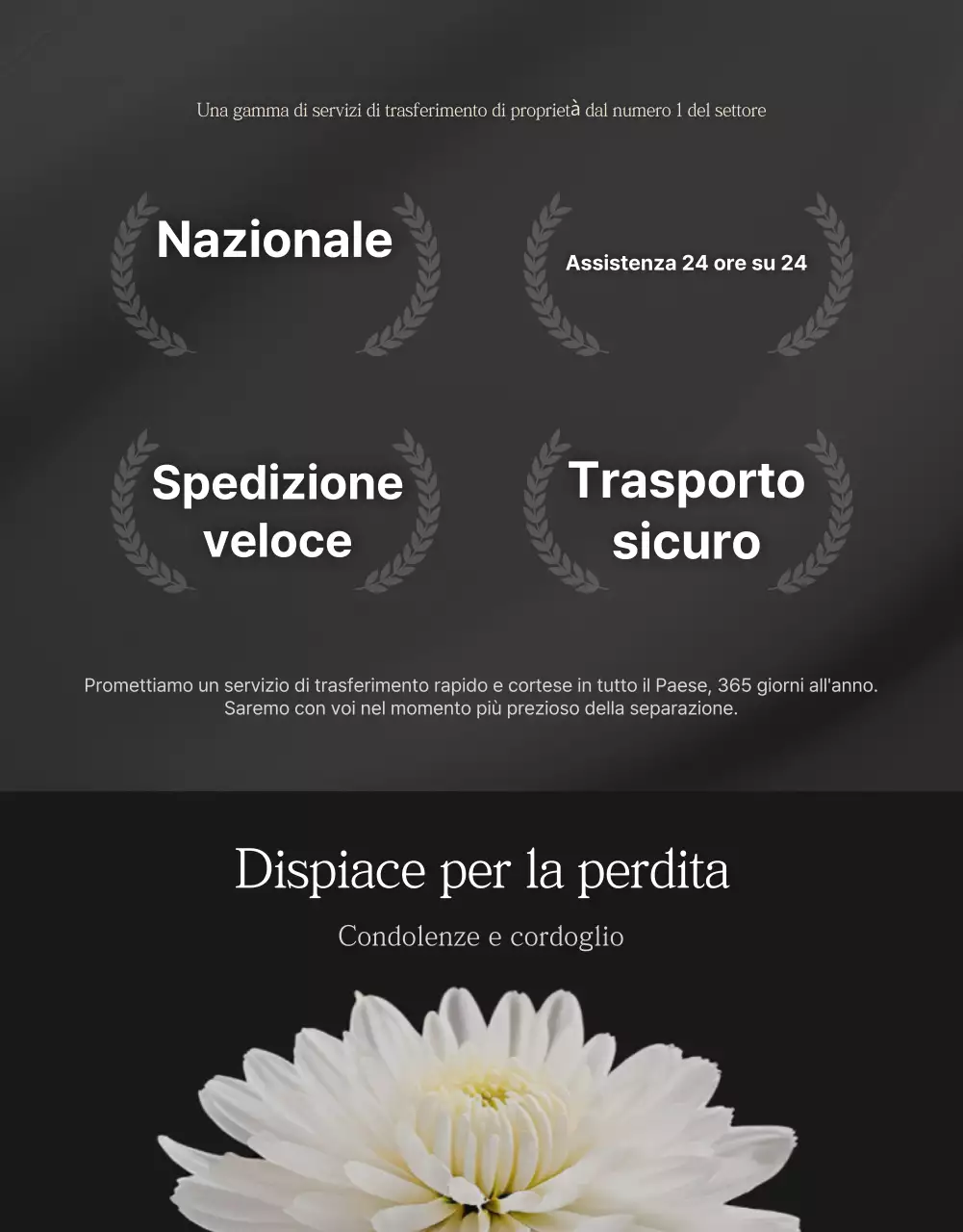 Pubblicità di un semplice trasportatore di auto nero