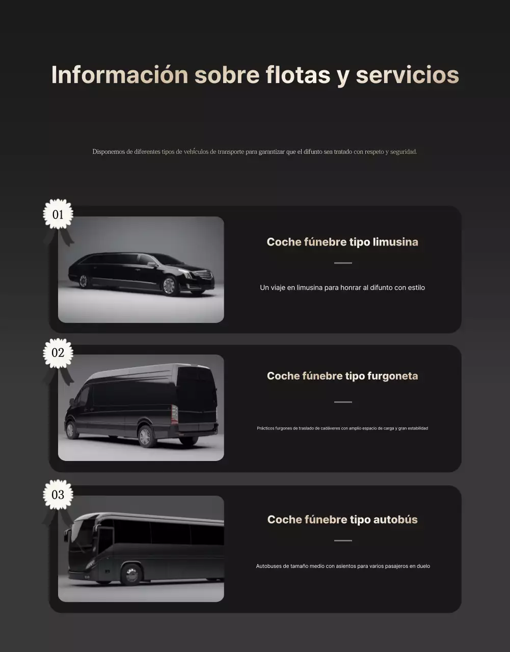 Anuncio de un transportador de coches sencillo de color negro