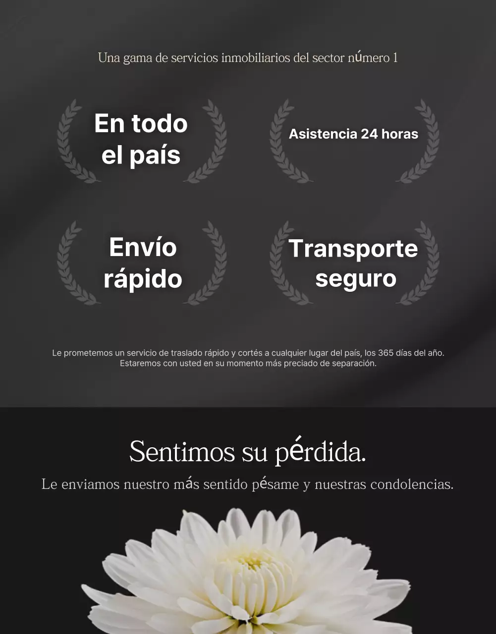 Anuncio de un transportador de coches sencillo de color negro