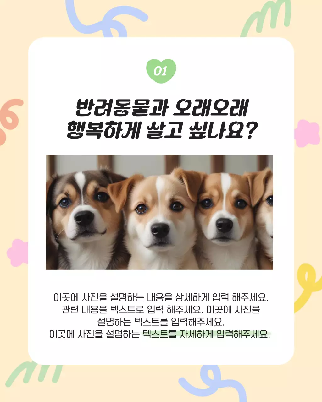 노랑과 하늘색의 아기자기한 반려동물 건강관리 정보