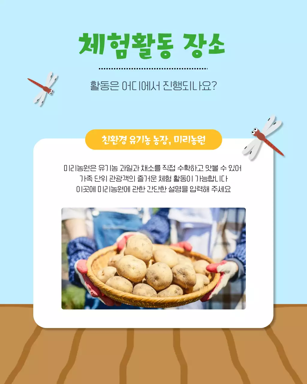 하늘색과 노랑의 아기자기한 가을수확체험 정보