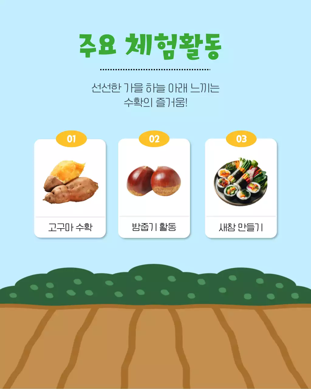 하늘색과 노랑의 아기자기한 가을수확체험 정보