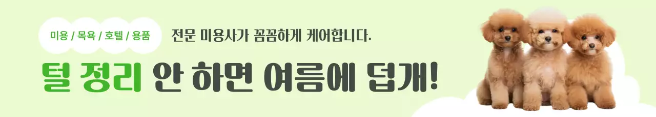 연두 아기자기한 애완동물 관리 광고