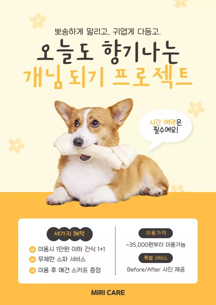 노랑 아기자기한 반려동물 관리 광고
