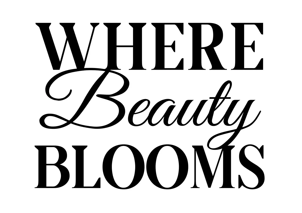 黒 クラシック 美容 ポスター サロン文章