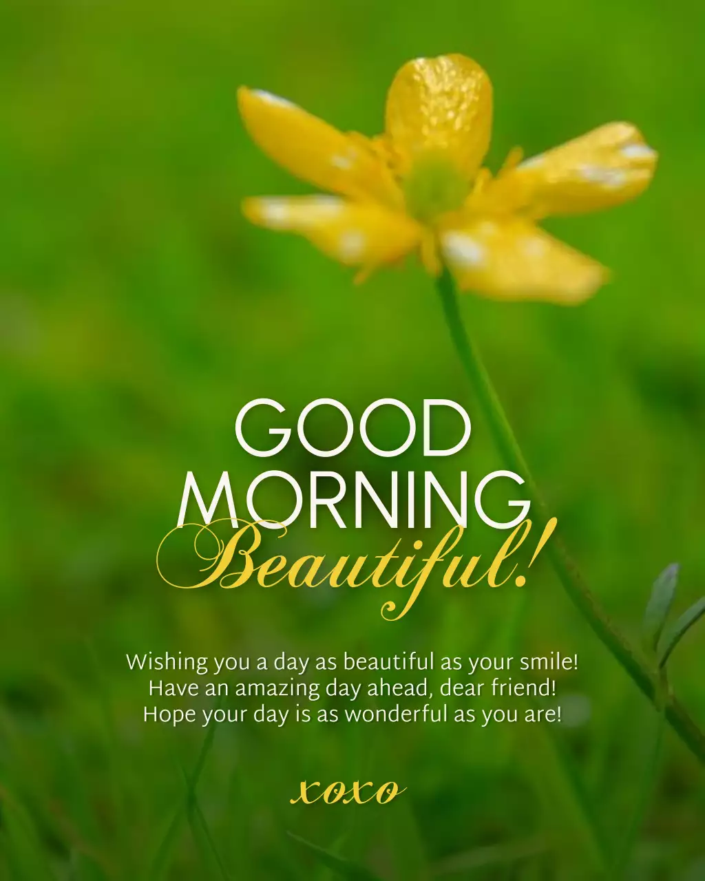 Green Good Morning Greetings Instagram Post