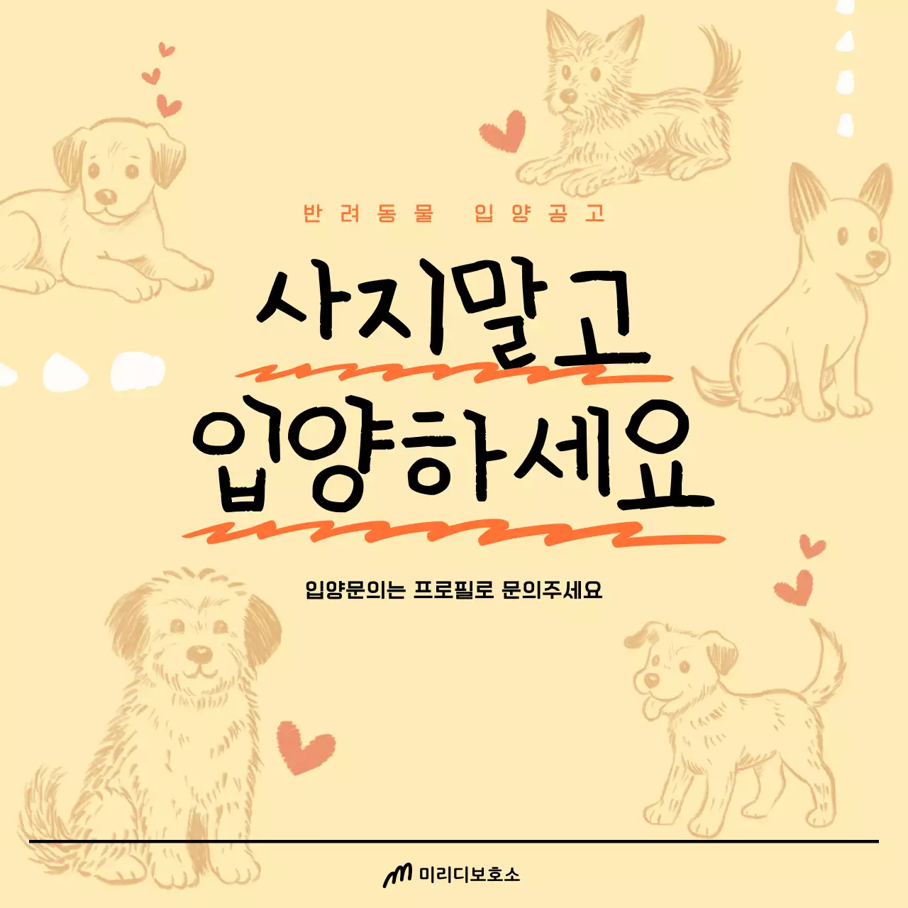 심플 동물 입양 보호 캠페인