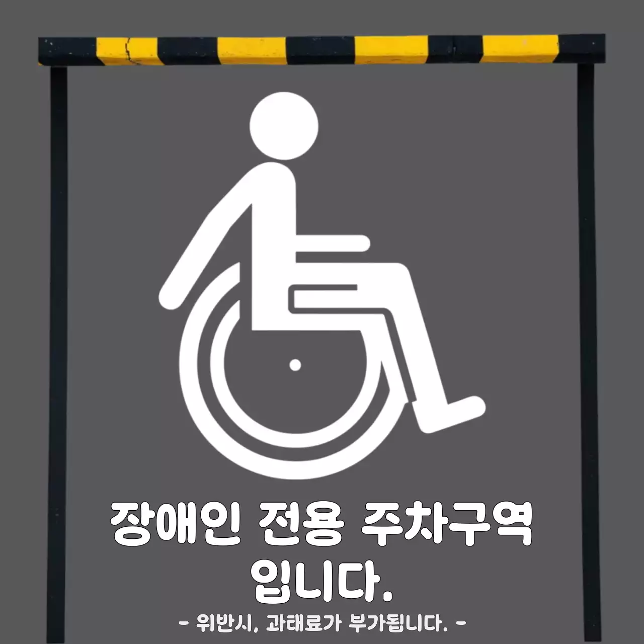 회색 모던 자동차 광고