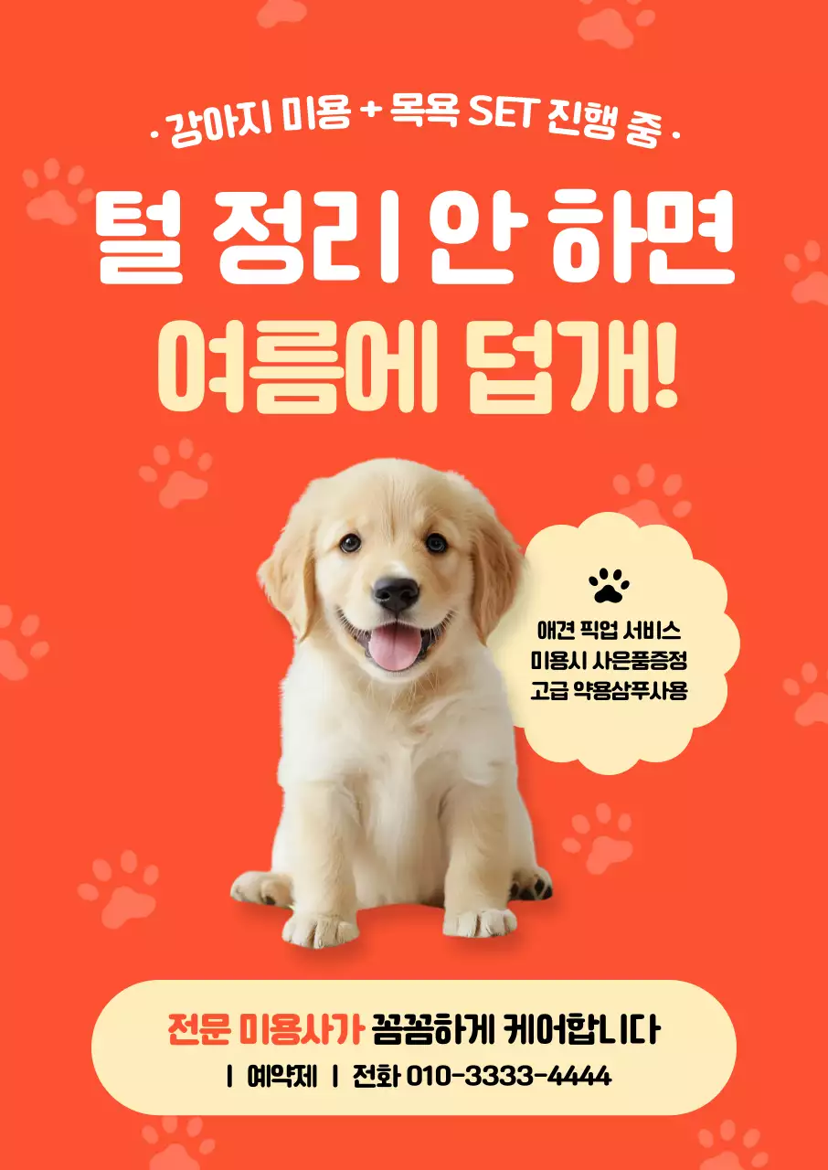 주황 깔끔 반려동물 광고