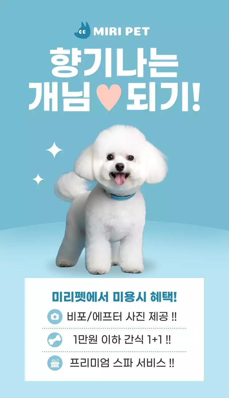 하늘색 깔끔 반려동물 광고