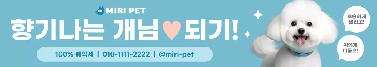 민트 깔끔 반려동물 광고