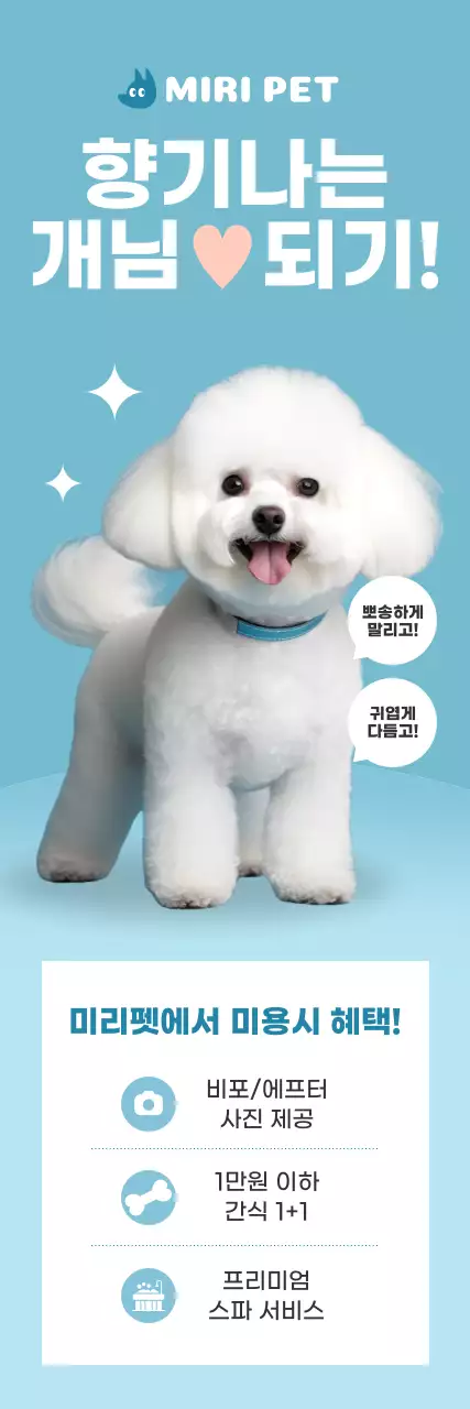 하늘색 모던 반려동물 미용 홍보