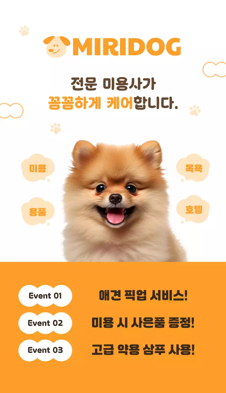 주황 심플 반려동물 이벤트