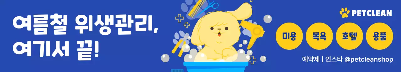 파랑 심플 위생 광고