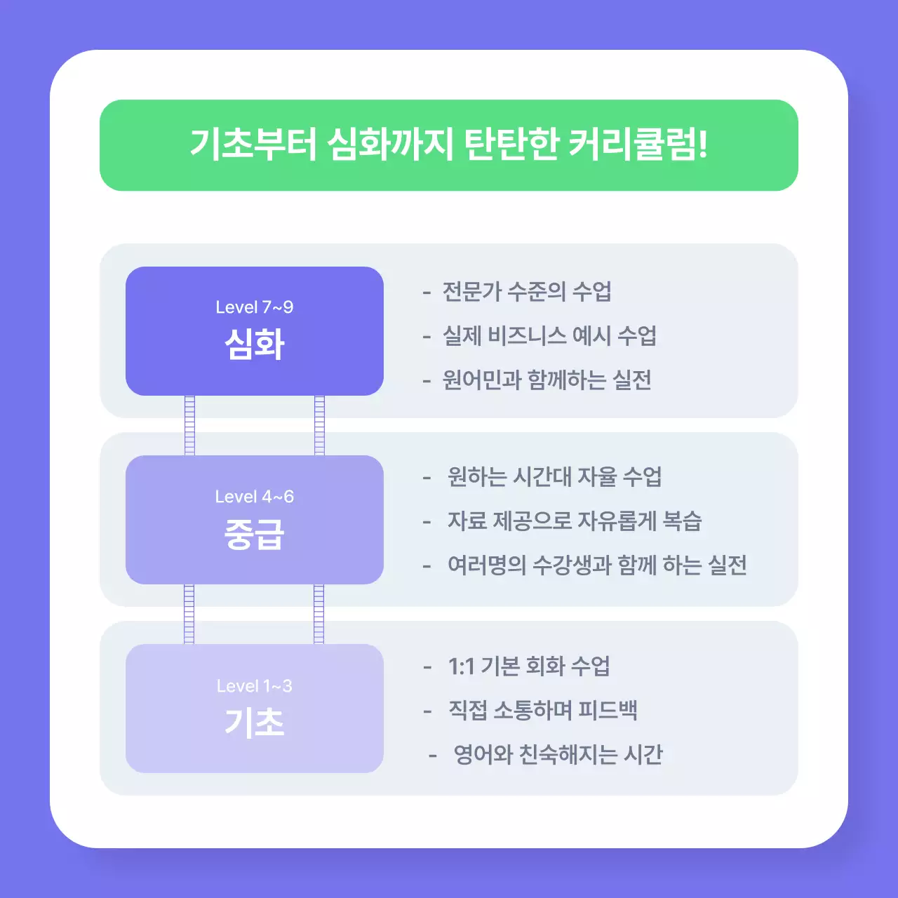 보라 모던 비즈니스 교육