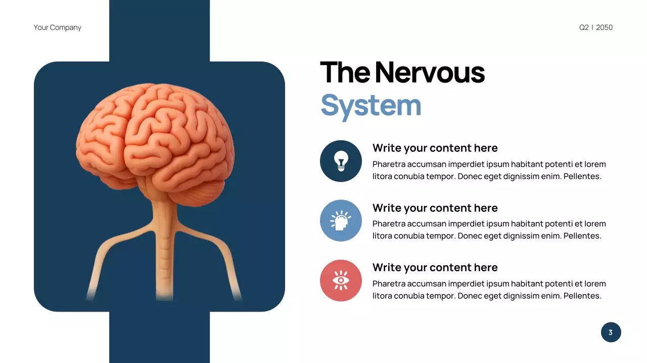 Blue Modern Anatomy Presentation