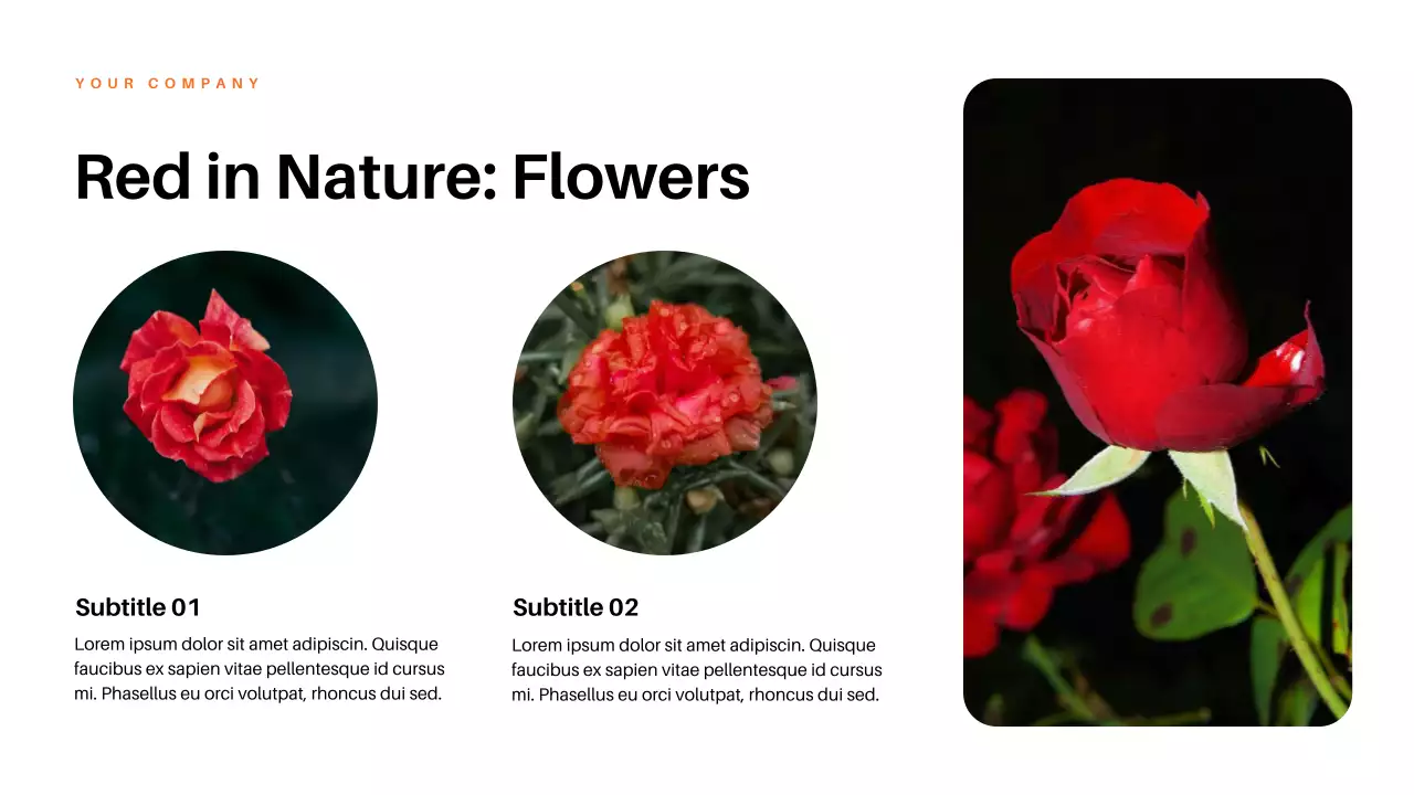 Red Aesthetic Colors in Nature Lecture Presentation