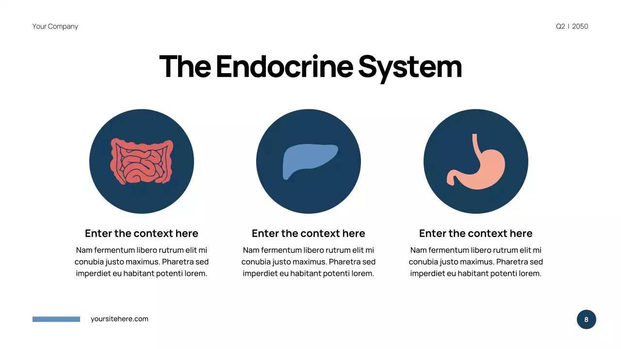 Blue Modern Anatomy Presentation