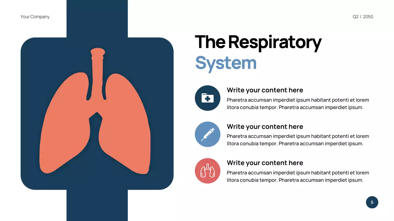 Blue Modern Anatomy Presentation