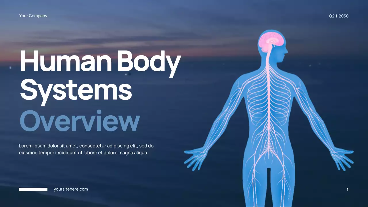 Blue Modern Anatomy Presentation