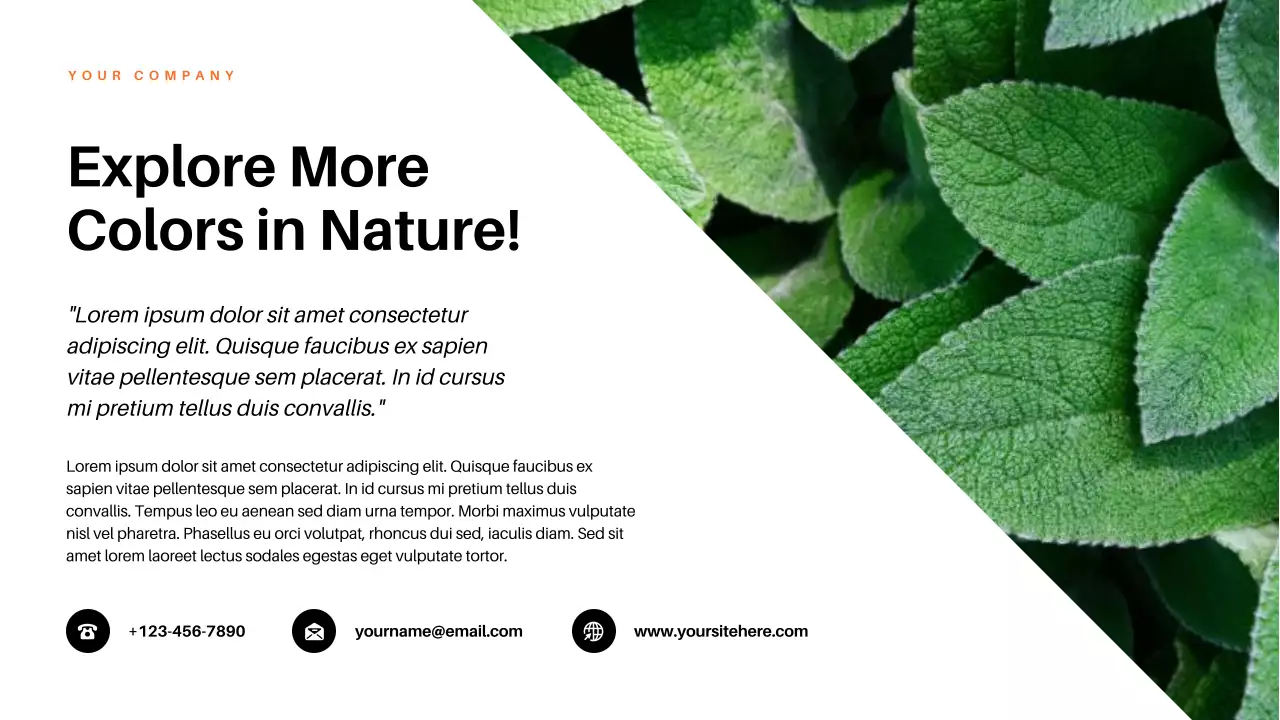 Red Aesthetic Colors in Nature Lecture Presentation