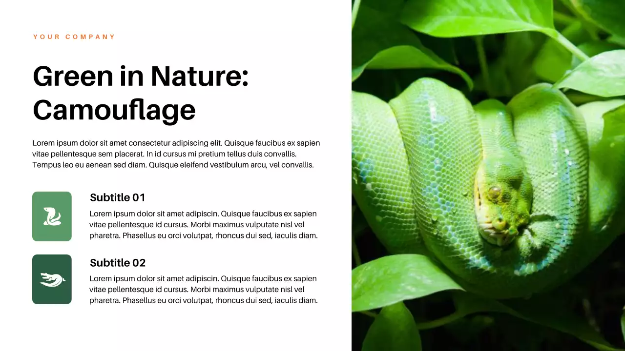 Red Aesthetic Colors in Nature Lecture Presentation