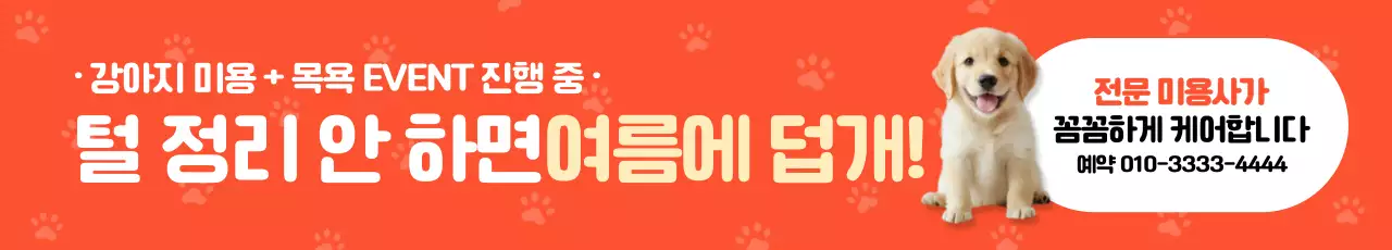 주황 아기자기한 반려동물 이벤트