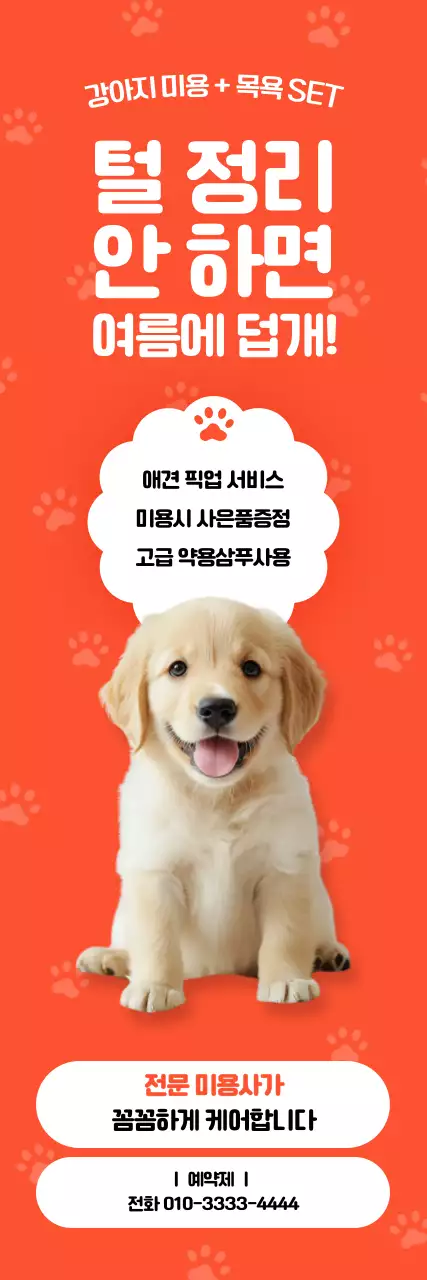 주황 깔끔 반려동물 광고