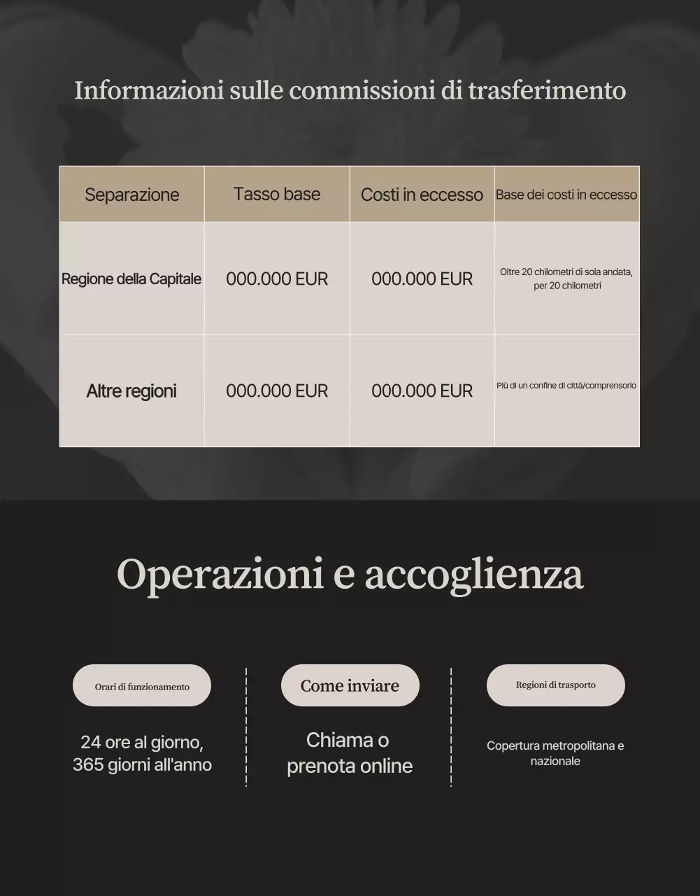 Guida funeraria di lusso nera