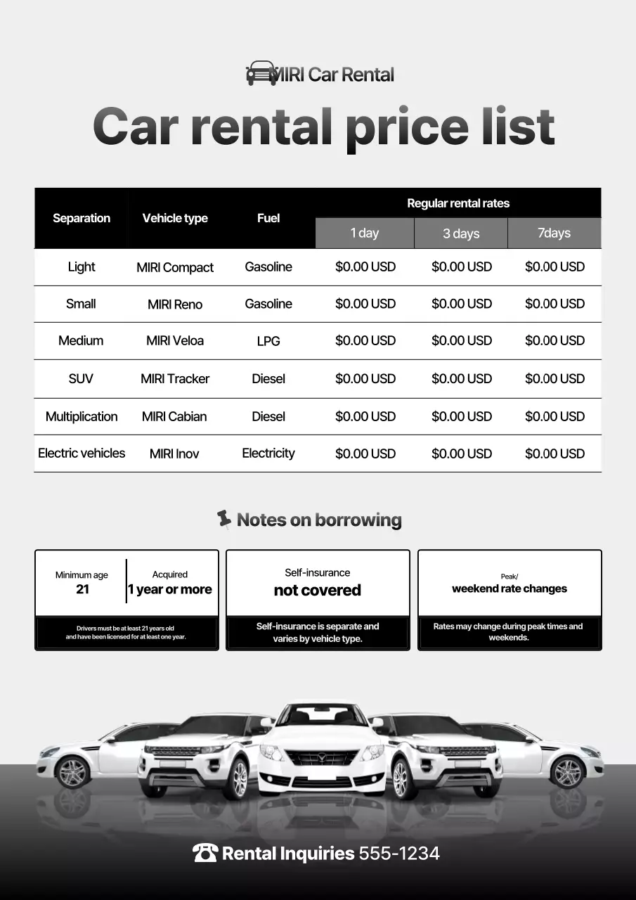 Gray Basic Car Rental Advertisement