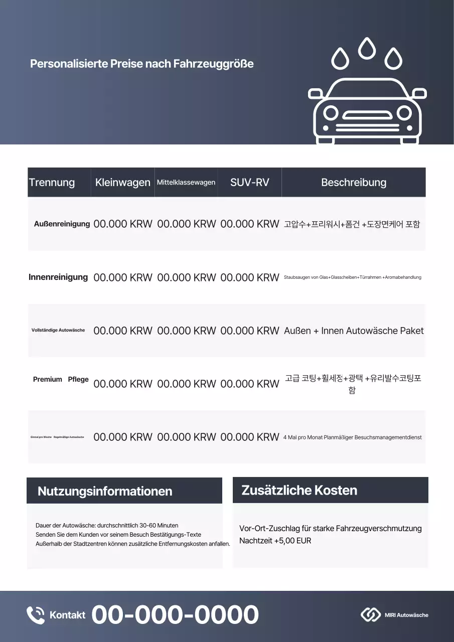Gray Clean Autopflege-Leitfaden