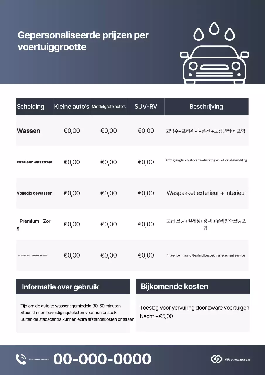 Gray Clean Autoverzorgingsgids