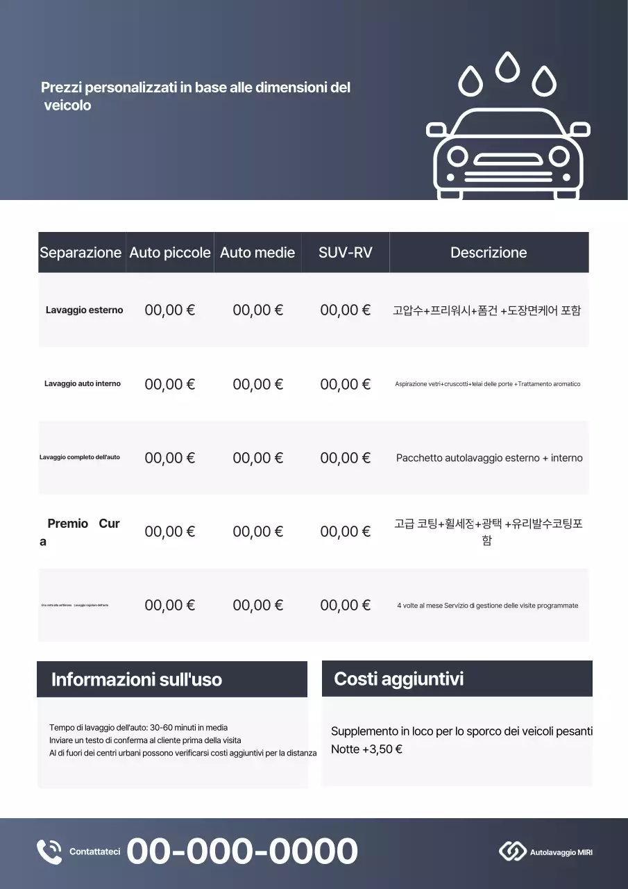 Guida alla cura dell'auto Gray Clean