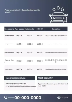 Guida alla cura dell'auto Gray Clean