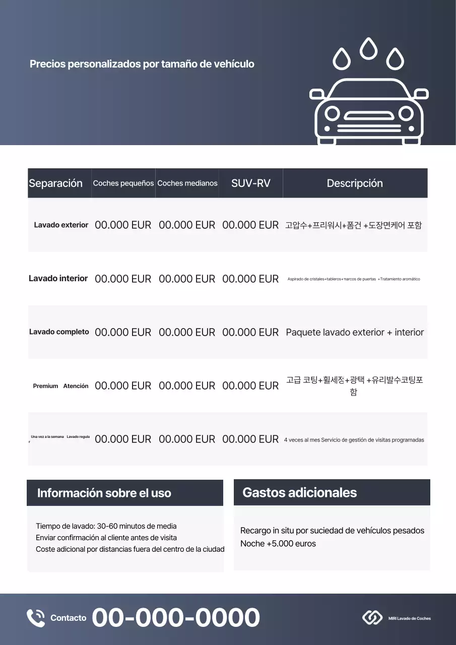 Guía de cuidado del coche Gray Clean