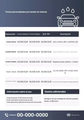 Guía de cuidado del coche Gray Clean