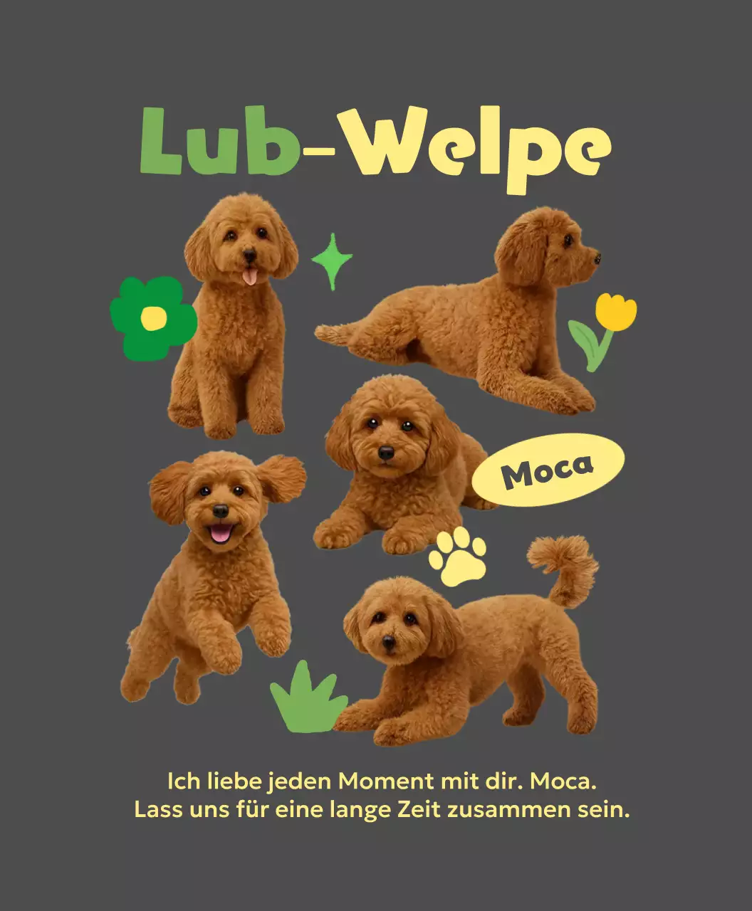 Grauer Baby-Haustier-Fotorahmen