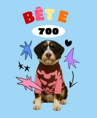 Articles pour animaux de compagnie Sky Blue Pop