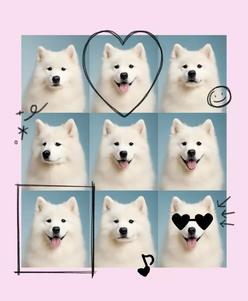 Taglio di vita per animali domestici Pink Baby