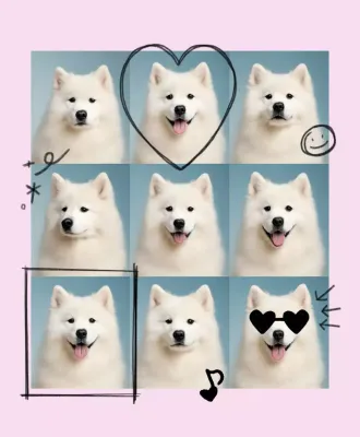 Taglio di vita per animali domestici Pink Baby