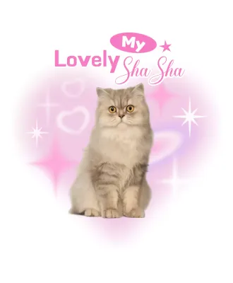 Stiker hewan peliharaan lucu berwarna merah muda