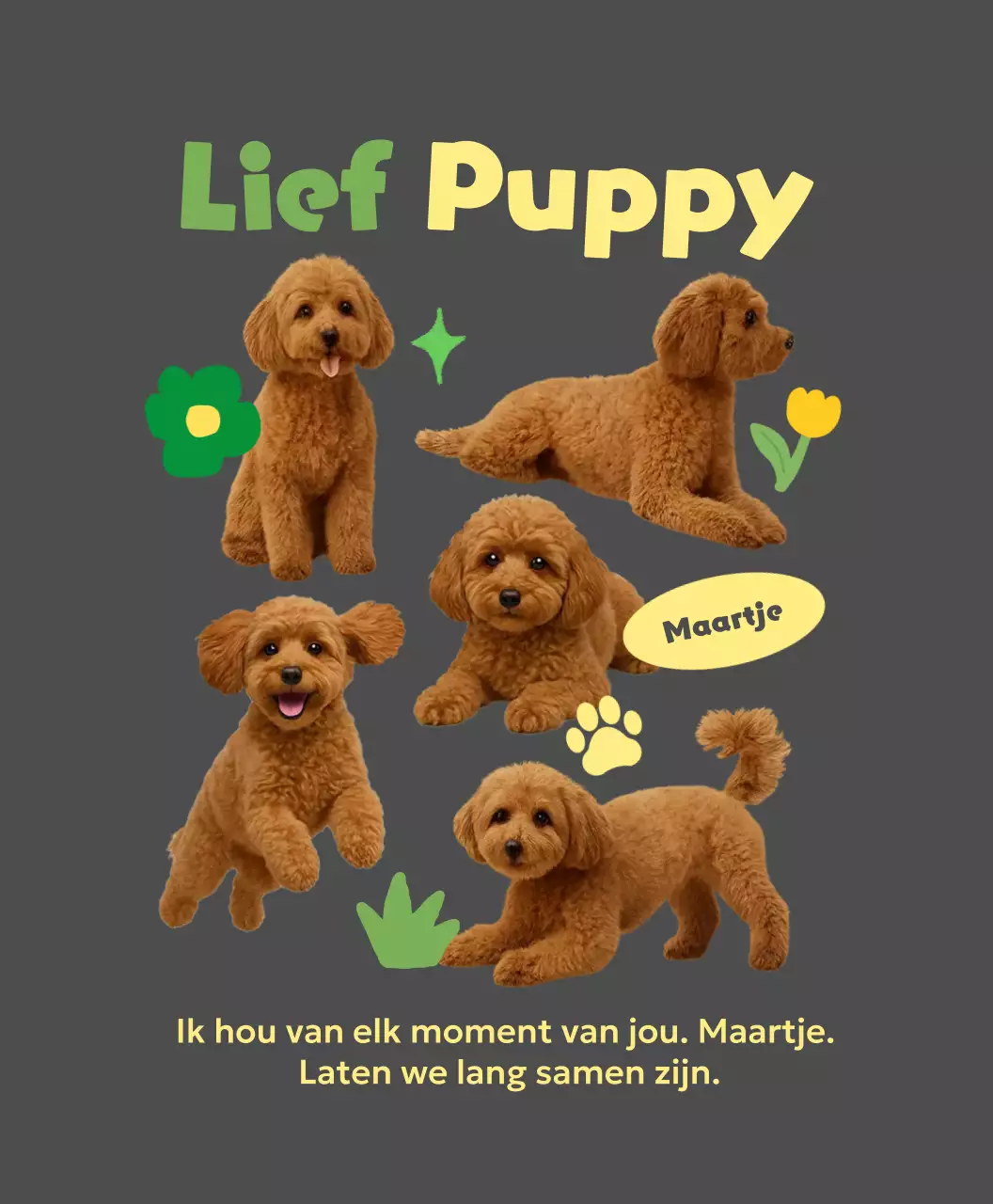 Grijze babyfotolijst voor huisdieren