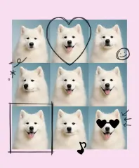 Rosa Baby Pet Life Schnitt